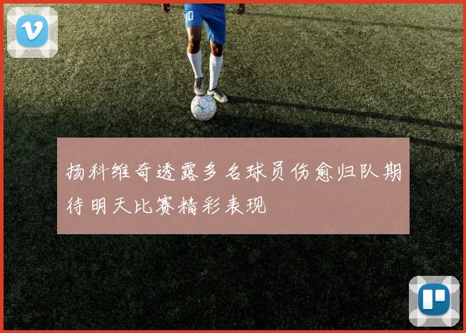 扬科维奇透露多名球员伤愈归队期待明天比赛精彩表现