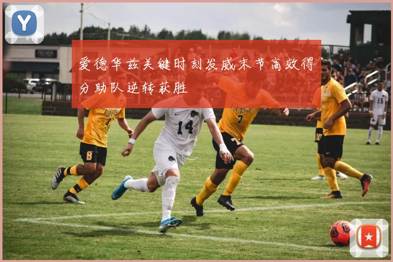 爱德华兹关键时刻发威末节高效得分助队逆转获胜